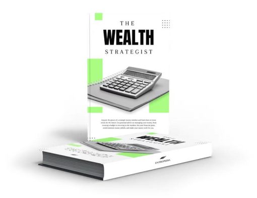 Wealth Strategist Book